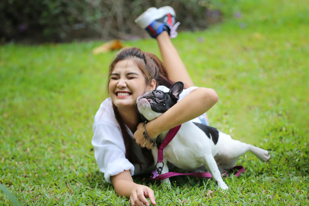 คอนโดให้เช่า